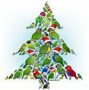 http://t0.gstatic.com/images?q=tbn:0TyMls1UAlaTqM:http://www.birdorable.com/blog/img/parrots-xmas-tree.jpg