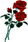 http://www.love-of-roses.com/image-files/clipart-3roses.gif