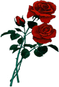 http://www.love-of-roses.com/image-files/clipart-3roses.gif
