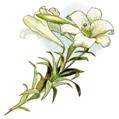 Related image